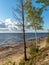 Beautiful Baltic Sea coast, autumn afternoon, white clouds over the sea