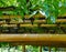 Beautiful bamboo pergola construction in japanese garden
