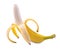 A beautiful banana peeled in half. A tasteful open banana isolated on a white background. Exotic and tropical summer fruits.