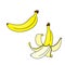 A beautiful banana. Vector illustration for a postcard or a poster, print on clothes. Fashion & Style.