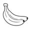 Beautiful bananas in cartoon style