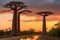 Beautiful Baobab trees at sunset at the avenue of the baobabs in Madagascar Generative AI.