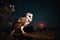 Beautiful barn owl sitting on branch at night. Wildlife scene.