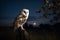 Beautiful barn owl sitting on a tree trunk in the moonlight