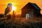 Beautiful Barn owls in the field at sunset. Amazing Wildlife. Generative Ai