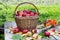 Beautiful basket with apples