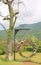 Beautiful basket swing of the wedding decorated with the colorful roses flower in the nature garden hanging on pole under tree