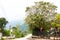 Beautiful Bauhinia variegata flowers in blooming season at Dien Bien, Vietnam