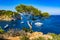 Beautiful bay of Portals Vells on Majorca Spain Mediterranean Sea