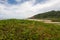 The beautiful beach in Arraial d` Ajuda, Brazil