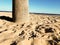 Beautiful beach in Benidorm, Spain. View of the beach with close image of palm trees and the sea with umbrellas and holidaymakers