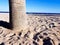 Beautiful beach in Benidorm, Spain. View of the beach with close image of palm trees and the sea with umbrellas and holidaymakers