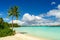 Beautiful beach in Bora Bora with lush palm trees and a breathtaking tropical landscape