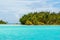 Beautiful beach in Bora Bora with lush palm trees and a breathtaking tropical landscape