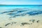 Beautiful beach with clear turquoise water, La Pelosa, Stintino, Sardinia