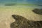 Beautiful beach with clear water in Langkawi islands