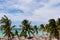 Beautiful beach in Cuba Varadero. Ocean. Palms.