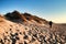 Beautiful beach with dunes and bushes in Aveiro