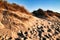 Beautiful beach with dunes and bushes in Aveiro