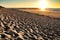 Beautiful beach with dunes and bushes in Aveiro