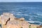 Beautiful beach in Hermanus with two cute dassies sitting on a rock in South Africa