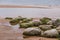 A beautiful beach landscape with a green moss covered stones. Algae growing on seaside rocks.