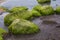 A beautiful beach landscape with a green moss covered stones. Algae growing on seaside rocks.