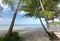 Beautiful Beach oceanfront tropical sea and coconut palm