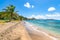 Beautiful beach with palm tree in St Kitts, Caribbean.