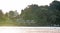 A beautiful beach resort beach front area showing cottages, trees and shore during low tide with sunlight shinning