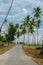 Beautiful beach road with coconut trees in Kampung Jambu Bongkok, Terengganu, Malaysia