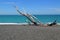 Beautiful beach scenery shot on Marine parade in Napier city in HawkeÂ´s Bay