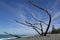 Beautiful beach scenery shot on Marine parade in Napier city in Hawkes Bay