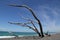 Beautiful beach scenery shot on Marine parade in Napier city in HawkeÃƒâ€šÃ‚Â´s Bay