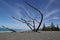 Beautiful beach scenery shot on Marine parade in Napier city in HawkeÃƒÆ’Ã†â€™ÃƒÂ¢Ã¢â€šÂ¬Ã…Â¡ÃƒÆ’Ã¢â‚¬Å¡Ãƒâ€šÃ‚Â´s Bay