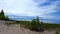 Beautiful beach shore with lush green trees during summer day. Sand shoreline with scenic green nature