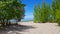 Beautiful beach shore with lush green trees during summer day. Sand shoreline with scenic green nature