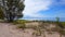 Beautiful beach shore with lush green trees during summer dayÈ›. Sand shoreline with scenic green nature