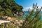 Beautiful beach surrounded by coniferous forest on the Rab island near Uvala Cifnata, Croatia. Transparent water on Adriatic coast