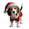 A beautiful Beagle with Christmas clothes on white background with png file with transparent background attached