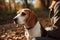 Beautiful beagle dog in the autumn park. Beagle dog with owner. AI Generated