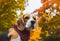 Beautiful beagle hunting dog on the background of the autumn forest