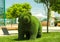 Beautiful bear shaped topiary at zoo. Landscape gardening