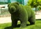 Beautiful bear shaped topiary at zoo. Landscape gardening