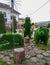 Beautiful bear shaped topiary at zoo on sunny day. Landscape gardening