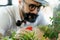 A beautiful beard man wearing hat and eyeglasses and smoke with pipe using a sprayer to watering the small plant in home indoor