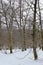 Beautiful Beech Forest Completely Snowy On The Road To The Jump Of The River Snowed Nervion. Nature Landscapes Snow