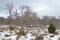 Beautiful Beech Forest Completely Snowy On The Road To The Jump Of The River Snowed Nervion. Nature Landscapes Snow