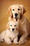Beautiful beige Labrador Golden Retriever with her Puppy