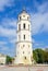 Beautiful Belfry and Vilnius Cathedral Basilica of Saints Stanislaus and Vladislaus